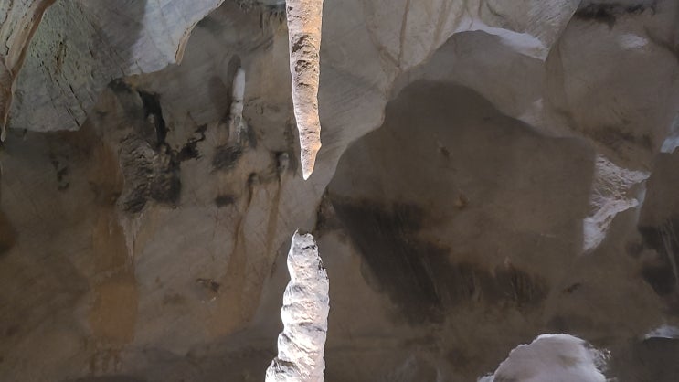 [충북 단양] 단양 여행 (4) - 고수동굴, 신비한 동굴 세계를 탐험하다