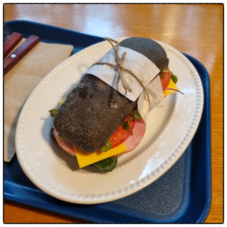  대학교 복학 전 공부 로드맵 수정 계획 :: 토익 점수 갱신과 전공 이론 복습, 열심히 사는 이유