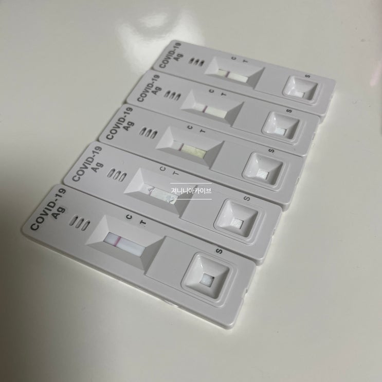  rapigen 자가키트 사용법 + 목으로 검사하기
