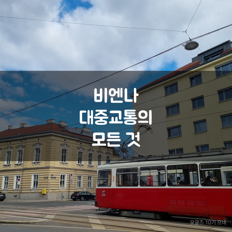  [오스트리아 교환학생] 한큐에 끝내는 비엔나 대중교통의 모든 것 / 이것만 알면 이젠 나도 비엔니즈