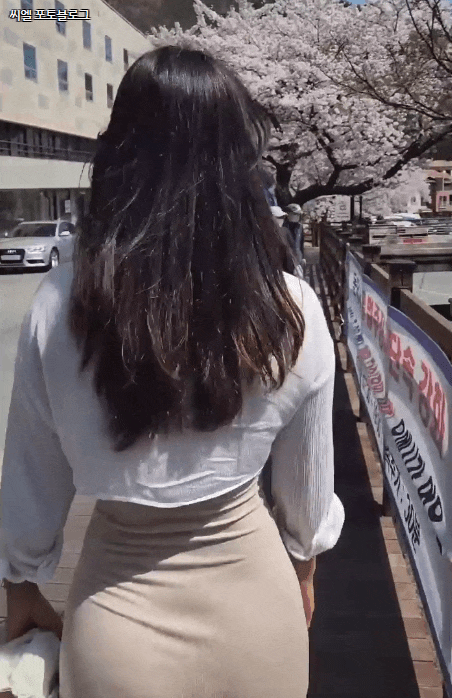 동학사 벚꽃 뒤태녀 몸매 수준 동학사 벚꽃 뒤태녀 몸매 수준