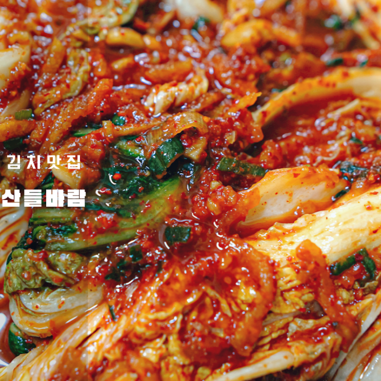  설악 산들바람 강원도 김장 김치 후기 입맛에 맞는 밥도둑 추천