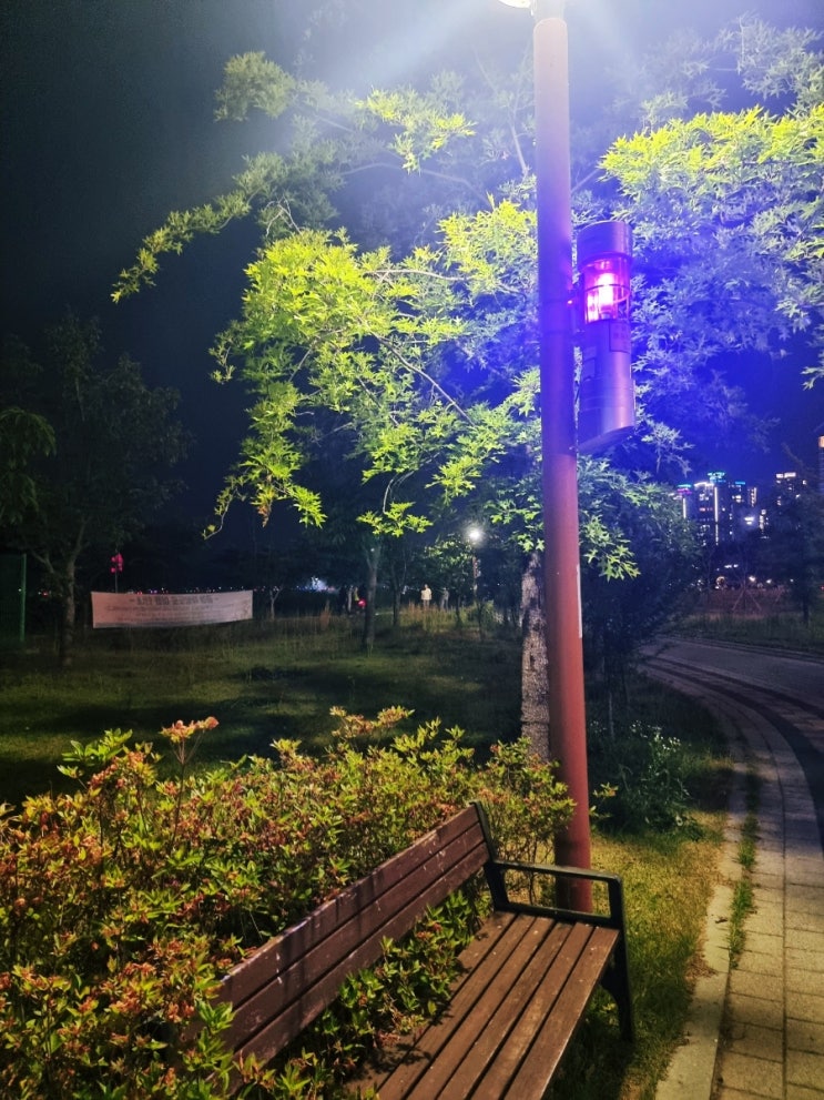  2022.05.22  일요일