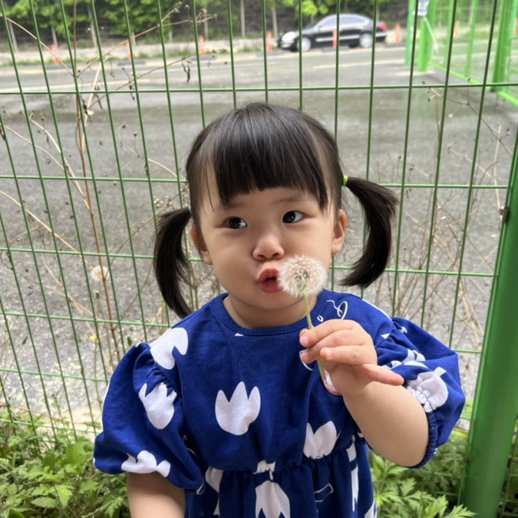  화분을 가꾸듯 너를 키운다