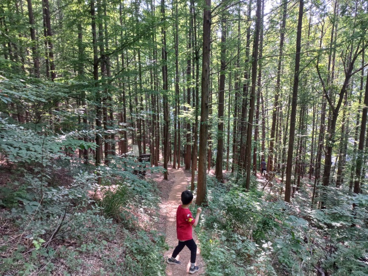  목동 갈산공원 아이와 산책 및 갈산문화예술센터 탐방
