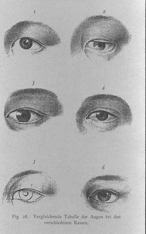  지볼트(Philipp Franz Balthasar von Siebold, 1796~ 1866)