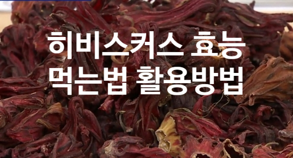  히비스커스 효능 먹는법 활용 방법 (ft. 붓기 살 빠지는 차)