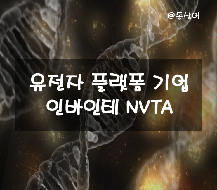  동전주가 되어버린 유전자 기업 인바이테 주가 및 분석