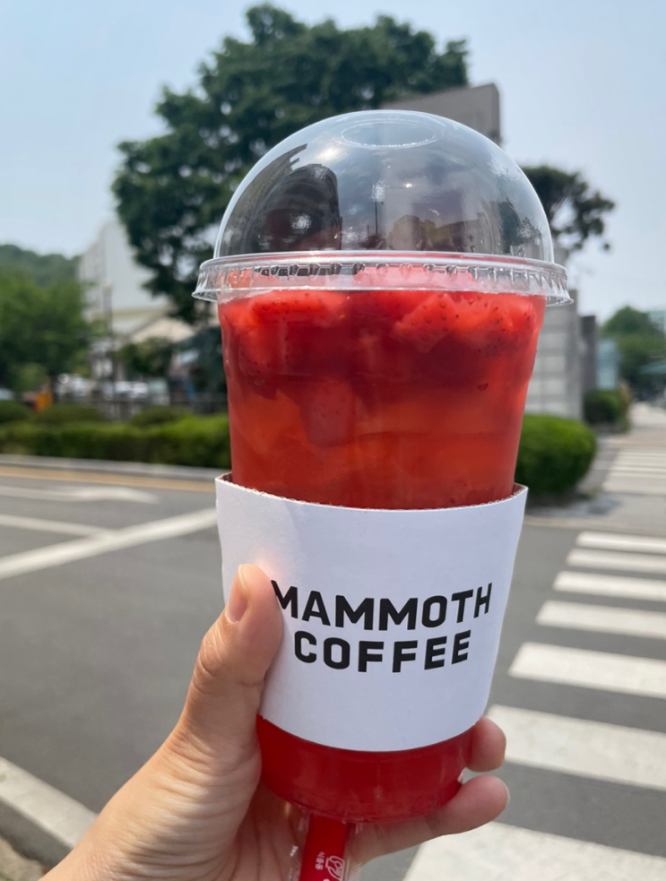  MOMMOTH COFFEE 매머드커피 신메뉴 딸기히비스커스라임티 후기