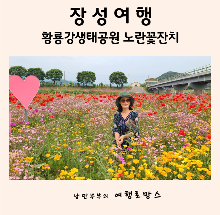  장성가볼만한곳 ::황룡강생태공원 노란꽃잔치축제 속으로