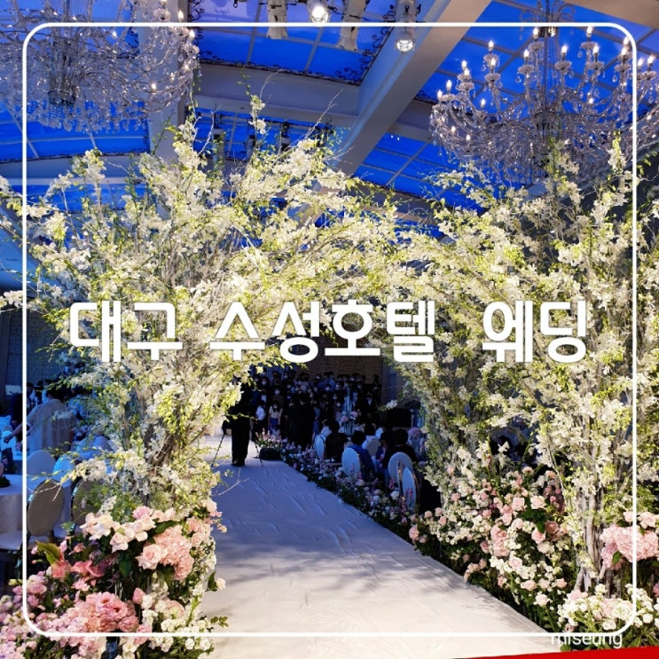  대구 수성호텔 웨딩 수성구 결혼식 하객으로 다녀온 솔직후기 웨딩 뷔페 도 맛있어요