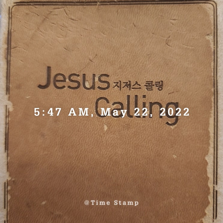  [감사일기]#473 새로운 시각으로 바라보기