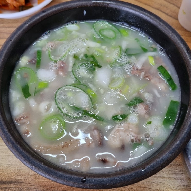  [강릉 주문진] 철뚝소머리집 : 소머리국밥 맛집 (허영만의 백반기행)