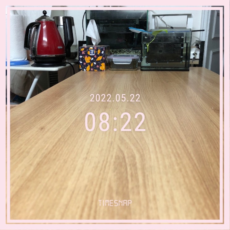  [미라클린] 14일차: 현관도 정리!