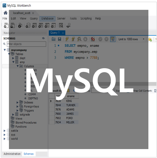  [MySQL] 내장 함수(Built-in Function)
