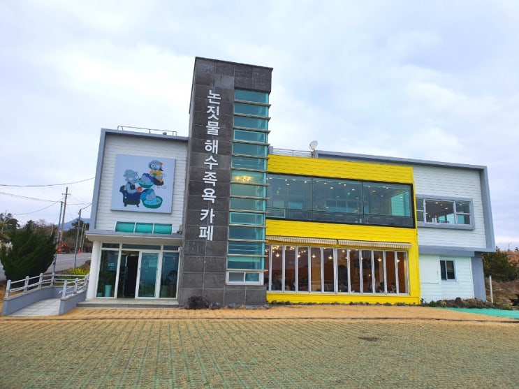 제주 최애 카페 추천 논짓물 해수족욕카페