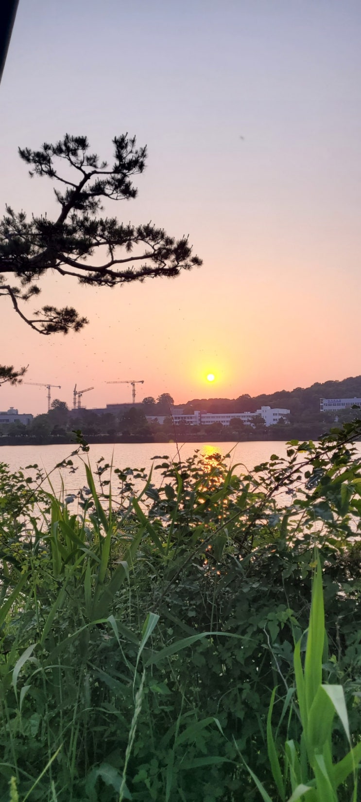 수원 축만제  서호공원