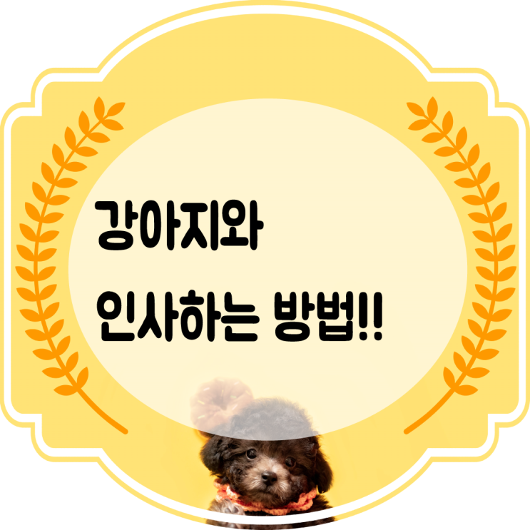  강아지와 인사하는 방법
