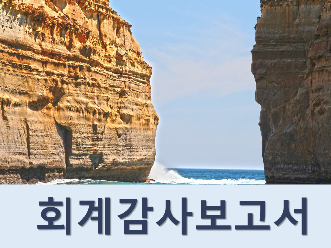  회계감사보고서 작성 및 감사인 지정사유