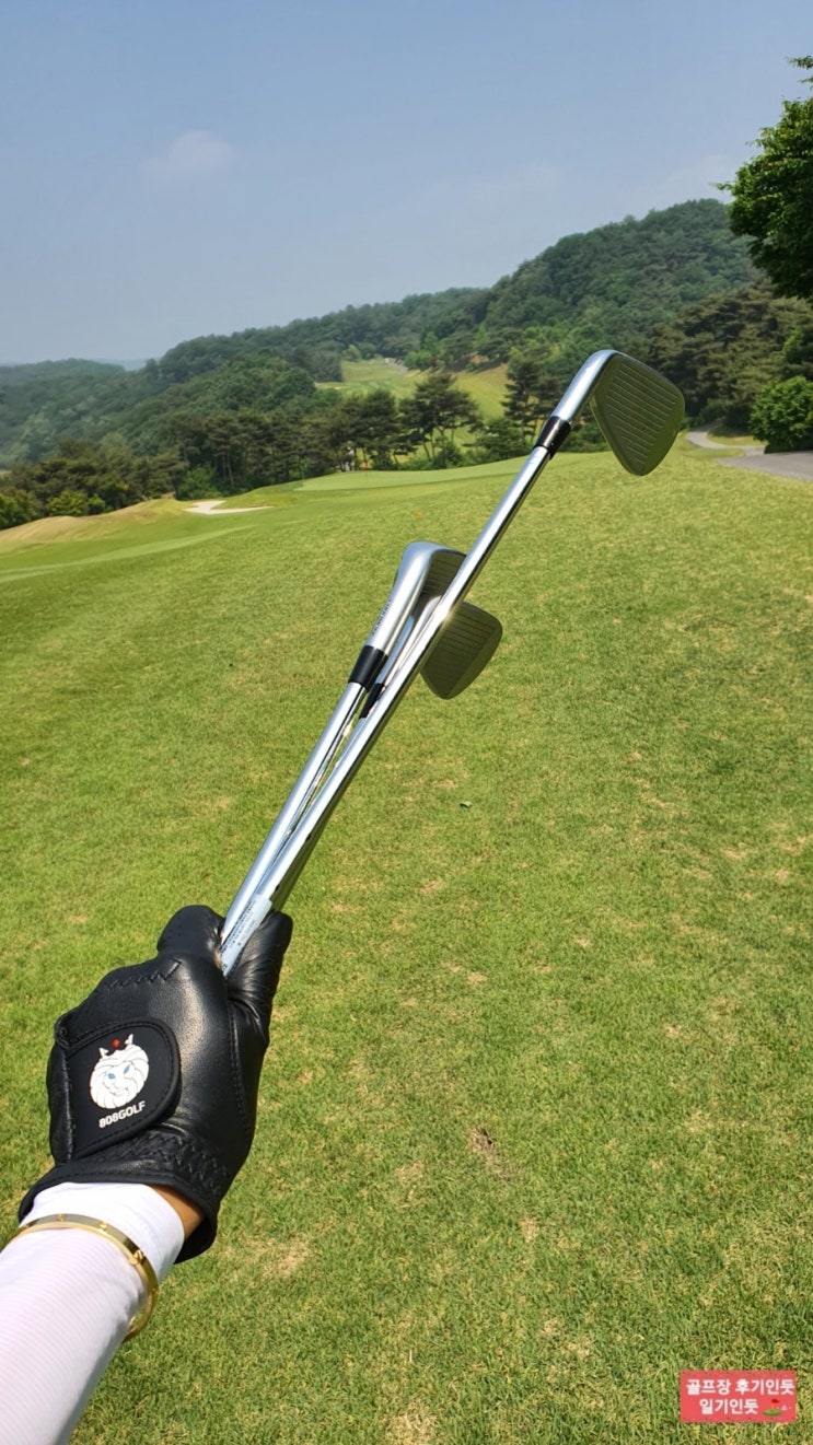  양피 골프장갑 추천(808GOLF 천연 올 양피 골프 장갑 블랙 에디션)