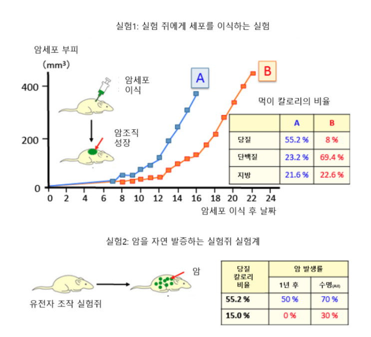  당질억제만으로도 암억제 효과가 있다 (1)