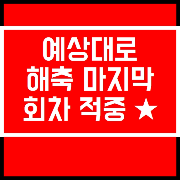  적중과 함께 손흥민 선수 득점왕을 축하드립니다
