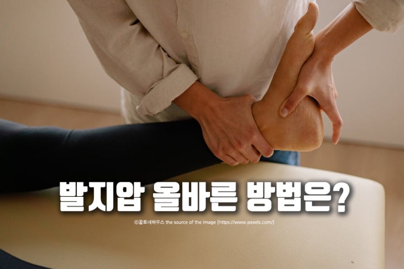 발지압 효과 높여주는 발 지압점 어디? : 네이버 블로그