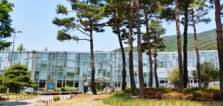  부산 가볼 만한 곳 화명수목원 가족 나들이 후 금정산성마을 고메쌀면요리와 샤부샤부로!