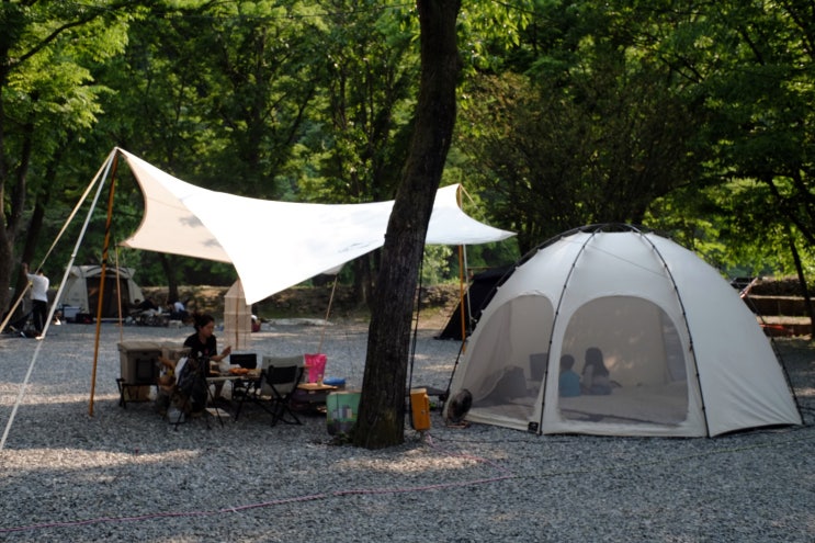 가평. 중바위캠핑장. feat. 나무그늘 좋은 계곡 캠핑장.