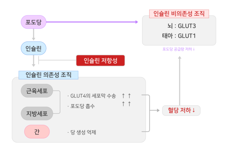  왜 비만이 늘어나고 있을까요?