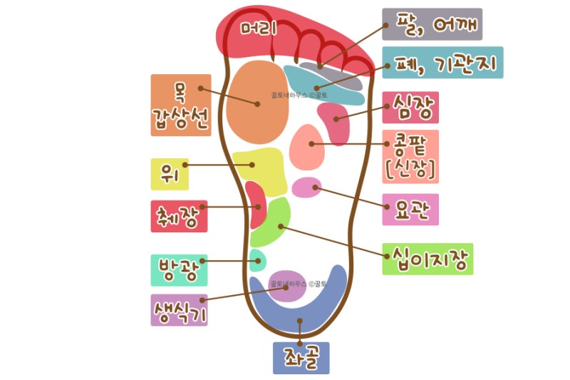 발지압 효과 높여주는 발 지압점 어디? : 네이버 블로그