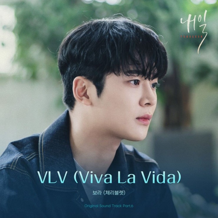 보라 - VLV (Viva La Vida) [노래가사, 듣기, Audio]