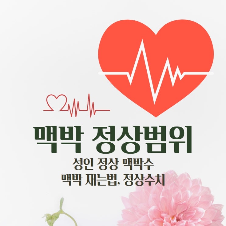 맥박 정상범위 성인 정상 맥박수 재는법 수치 맥박 정상범위 성인 정상 맥박수 재는법 수치