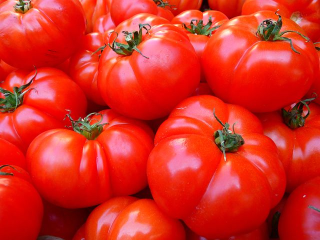토마토의 효능 및 부작용 고르는법  보관법