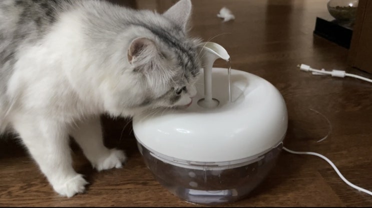  [추천템] 고양이 정수기, 애플정수기 (조립방법)