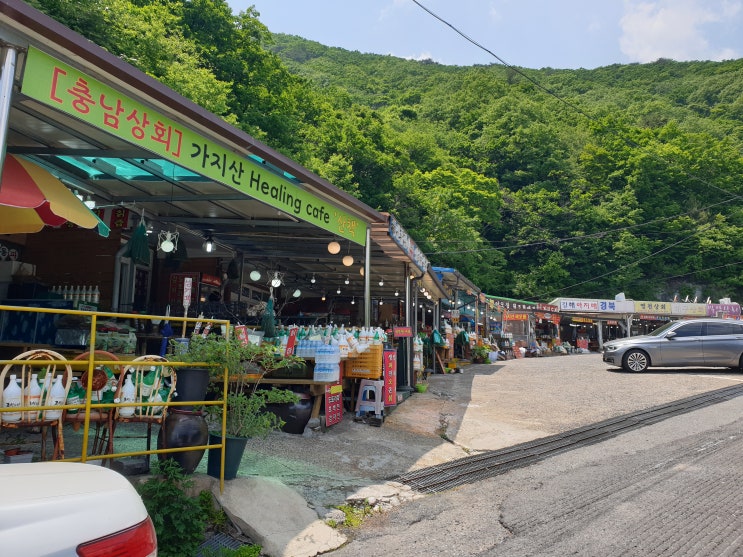  [영남알프스 9봉 등반] 등린이 가지산 초보자코스 후기