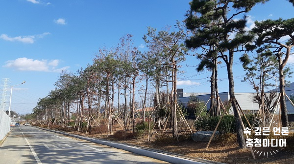  청주시, 오창과학·오송생명 단지 미세먼지 차단숲 조성