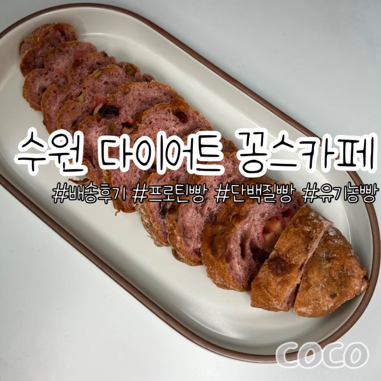  다이어트에 좋은 프로틴 단백질 빵 건강한 유기농 빵 비건 꽁쓰카페