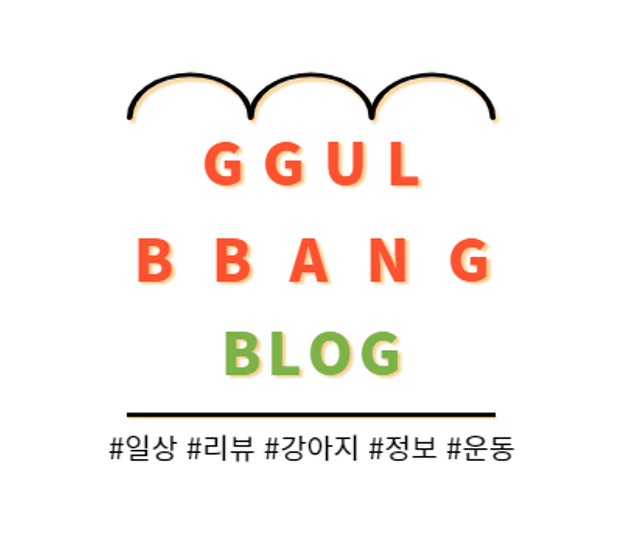  블로그, 다시 시작