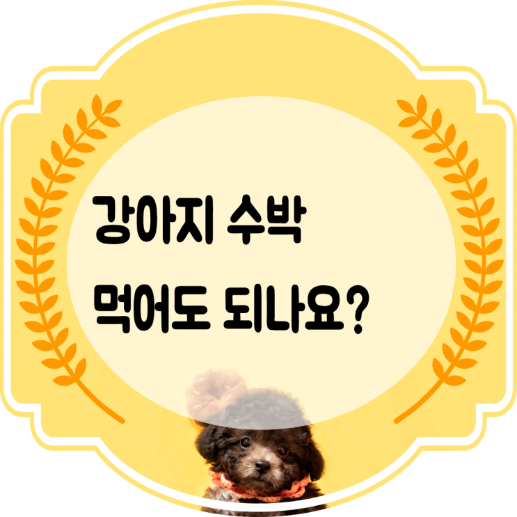 강아지 수박 먹어도 되나요?