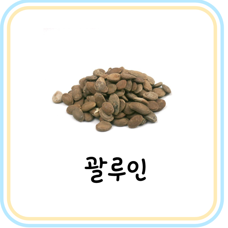 [종자류 생약] 하늘타리 씨앗 과루인 효능 및 성분 (괄루인)