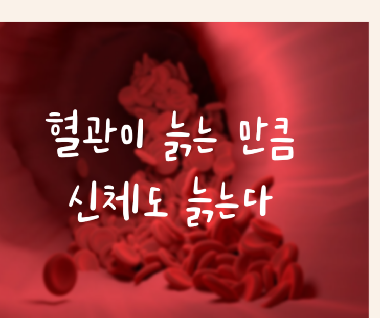  은행잎추출물 영양제 니오라 메모리포뮬러~ 아직 모르세요?