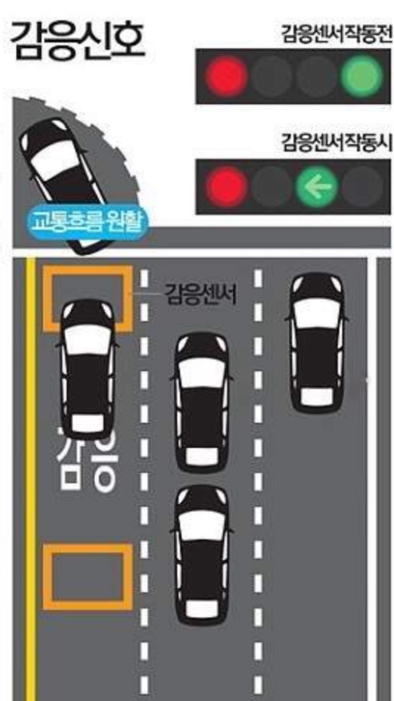 초보운전 신호등알기 (신호등순서, 비보호좌회전, 유턴 ,감응신호) : 네이버 블로그
