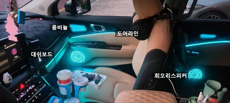창원 의창구 / 엠비언트 / 기아 / 카니발 / 카니발 4세대