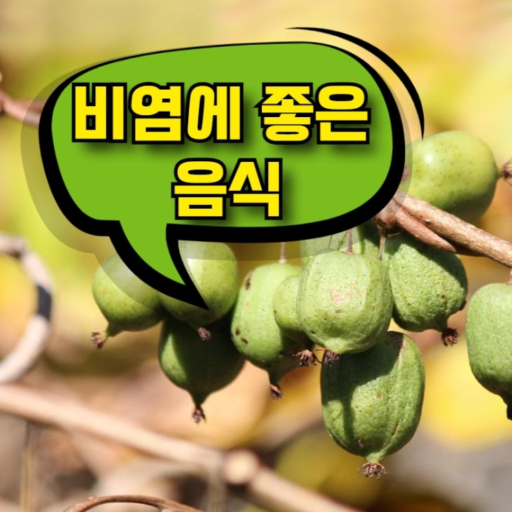 비염에 좋은 음식 다래효능 면역영양제로 누려요!