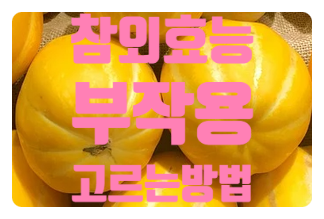  참외 효능 부작용 먹는방법 고르는방법