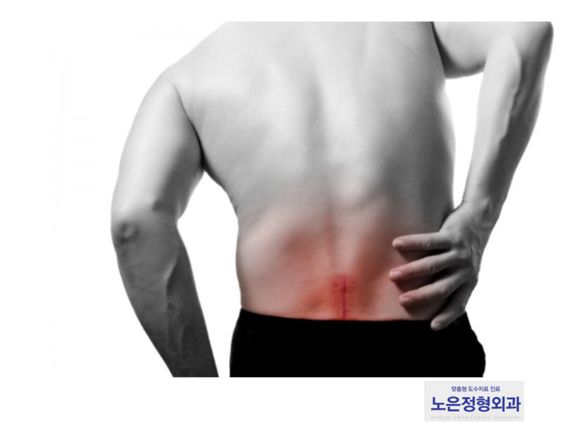 대전재활병원에서는 투병 중 발생하는 허리통증, 추간판의 문제라고 권하고 있는데요?  !