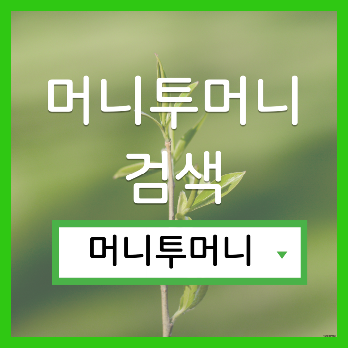  모바일비상금대출, 머니투머니!
