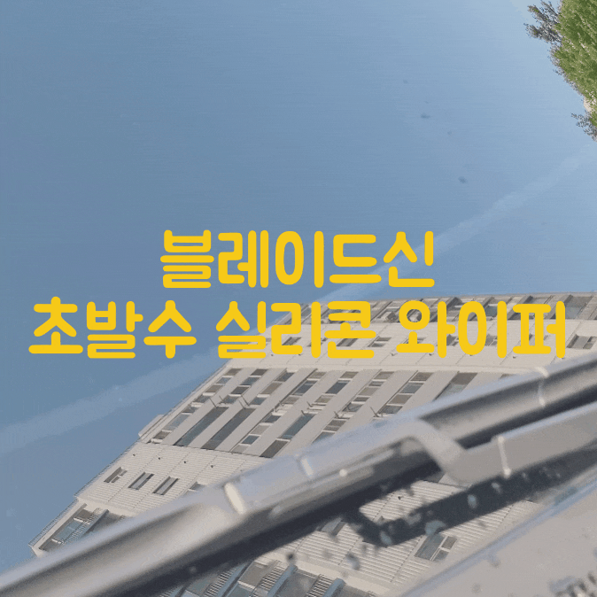 더 뉴 카니발 안전운전 필수 템! 블레이드신 발수 코팅 와이퍼로 교체했습니다. 더 뉴 카니발 안전운전 필수 템! 블레이드신 발수 코팅 와이퍼로 교체했습니다.