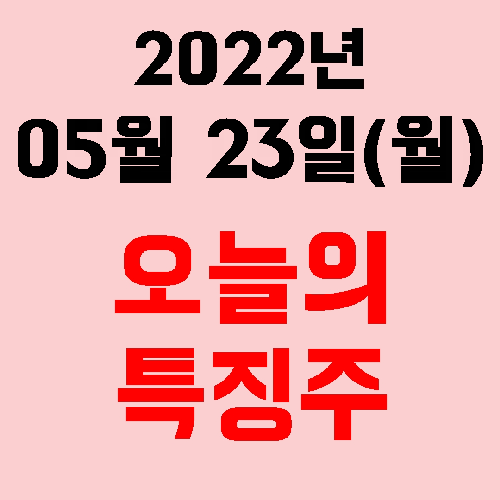  오늘의 시장 특징주 2022년 05월 23일(월)
